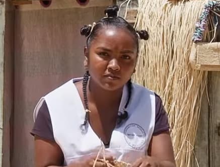 Artisan nambinina